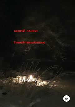Обложка книги - Темной-темной ночью… - Андрей Ланиус