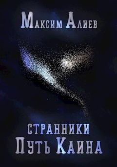 Обложка книги - Странники. Путь Каина - Максим Алиев