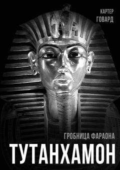 Книга - Тутанхамон. Гробница фараона. Говард Картер - читать в Литвек
