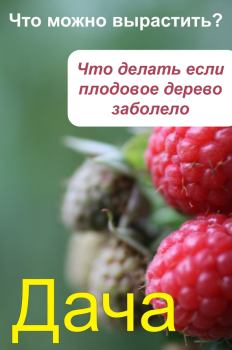Обложка книги - Что можно вырастить Что делать, если плодовое дерево заболело - Илья Мельников