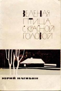 Обложка книги - Через двадцать лет - Юрий Маркович Нагибин
