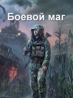 Обложка книги - Боевой маг - Роман Соловьёв