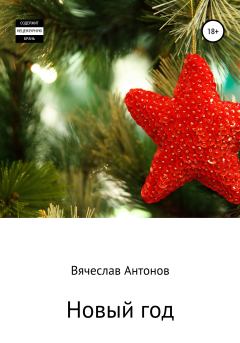 Обложка книги - Новый год - Вячеслав Валентинович Антонов