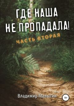 Книга - Где наша не пропадала 2. Владимир Владиславович Малыгин - прочитать в ЛитВек