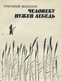 Книга - Человеку нужен лебедь. Григорий Григорьевич Володин - читать в Литвек