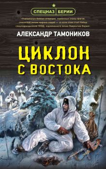 Книга - Циклон с востока. Александр Александрович Тамоников - прочитать в Литвек