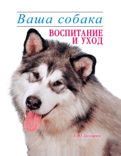 Обложка книги - Ваша собака. Воспитание и уход - Алексей Юрьевич Целлариус
