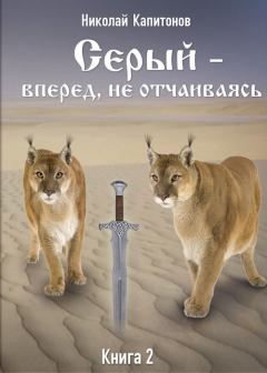 Обложка книги - Вперед, не отчаиваясь - Николай Анатольевич Капитонов