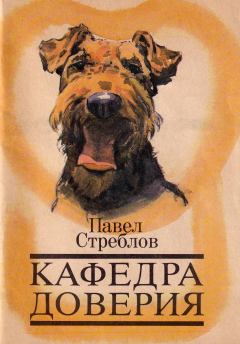 Обложка книги - Кафедра доверия - Павел Иванович Стреблов