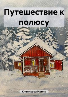 Обложка книги - Путешествие к полюсу - Ирина Клепикова