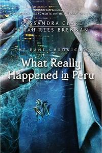 Обложка книги - Что на самом деле произошло в Перу - Сара Риз Бреннан