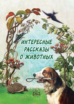Обложка книги - Интересные рассказы о животных - Н П Рудакова