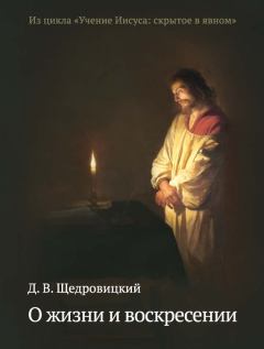 Книга - О жизни и воскресении. Дмитрий Владимирович Щедровицкий - прочитать в Литвек