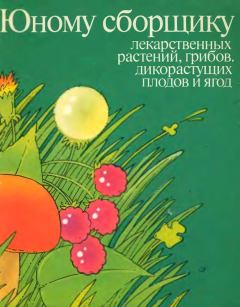 Обложка книги - Юному сборщику лекарственных растений, грибов дикорастущих плодов и ягод. Каталог - Н. Линник
