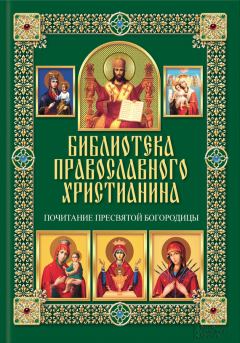 Обложка книги - Почитание Пресвятой Богородицы - Павел Евгеньевич Михалицын