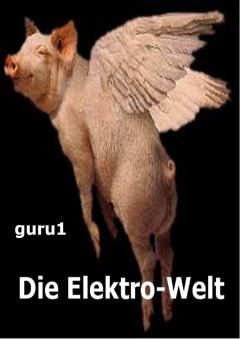 Книга - Die Elektro-Welt.  guru1 - прочитать в Литвек
