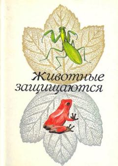Обложка книги - Животные защищаются - З. В. Воронцова