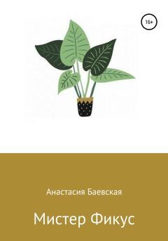 Обложка книги - Мистер Фикус - Анастасия Баевская