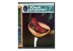 Книга - Юный натуралист 1984 №07. Журнал «Юный натуралист» - читать в Литвек