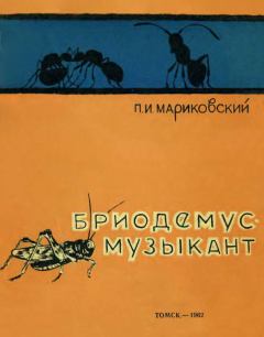Книга - Бриодемус-музыкант. Павел Иустинович Мариковский - читать в Литвек