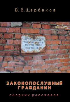Обложка книги - Законопослушный гражданин - Владлен Валерьевич Щербаков