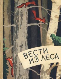 Обложка книги - Вести из леса - Алексей Алексеевич Ливеровский
