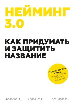 Книга - Нейминг 3.0. Как придумать и защитить название. Николай Соловьев - читать в Литвек