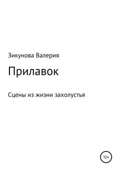 Книга - Прилавок. Валерия Юрьевна Зикунова - читать в Литвек