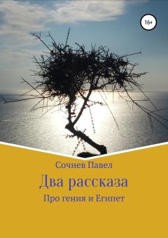 Книга - Два рассказа. Павел Николаевич Сочнев - читать в Литвек