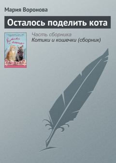 Обложка книги - Осталось поделить кота - Мария Воронова