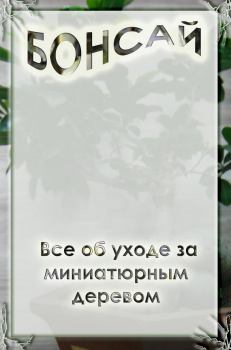 Обложка книги - Все об уходе за миниатюрным деревом - Илья Мельников