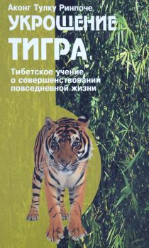 Обложка книги - Укрощение тигра. Тибетское учение о совершенствовании повседневной жизни - Аконг Тулку Ринпоче