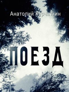 Книга - Поезд. Анатолий Николаевич Курчаткин - прочитать в Литвек