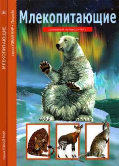 Обложка книги - Млекопитающие - Марк Давидович Махлин