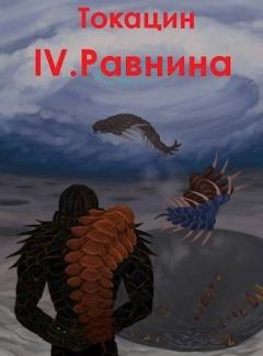 Обложка книги - Обратный отсчет: Равнина -  Токацин
