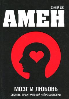 Обложка книги - Мозг и любовь - Дэниел Грегори Амен