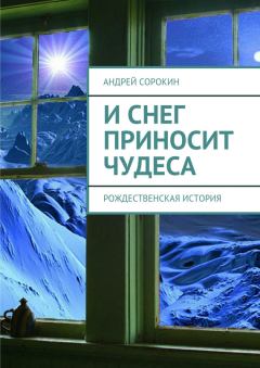 Обложка книги - И снег приносит чудеса -  Литагент «Ридеро»
