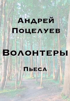 Книга - Волонтеры. Андрей Владимирович Поцелуев - читать в Литвек