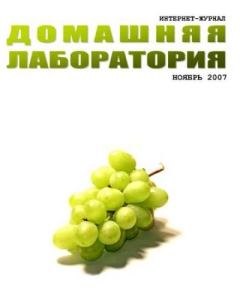 Обложка книги - Интернет-журнал "Домашняя лаборатория", 2007 №11 -  Автор неизвестен