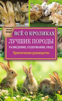 Обложка книги - Всё о кроликах: разведение, содержание, уход. Практическое руководство - Виктор Владимирович Горбунов