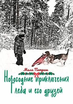 Книга - Новогодние приключения Глеба и его друзей. Мила Петриш - прочитать в Литвек