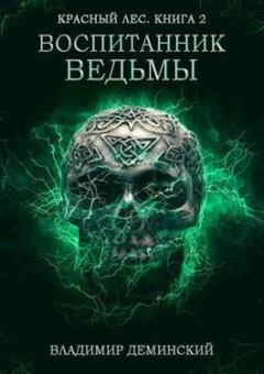 Книга - Воспитанник ведьмы. Владимир Александрович Дёминский - читать в Литвек