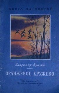 Книга - Оранжевое кружево. Владимир Григорьевич Брагин - прочитать в Литвек