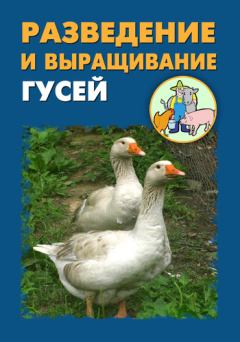 Обложка книги - Разведение и выращивание гусей - Александр Александрович Ханников