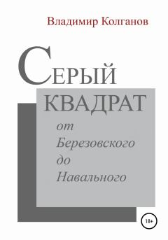 Обложка книги - Серый квадрат: от Березовского до Навального - Владимир Алексеевич Колганов
