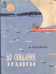 Книга - До свидания, эрлюсы. Владимир Васильевич Кобликов - читать в Литвек