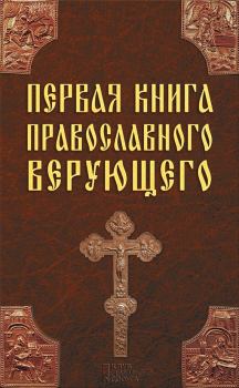 Книга - Первая книга православного верующего. Павел Михалицын - читать в Литвек