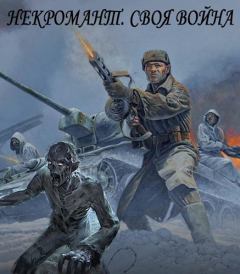 Обложка книги - Своя война - Руслан Ряфатевич Агишев