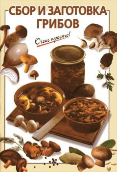 Обложка книги - Сбор и заготовка грибов - И. В. Довбенко