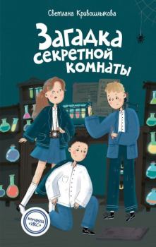 Книга - Загадка секретной комнаты. Светлана Алексеевна Кривошлыкова - читать в Литвек